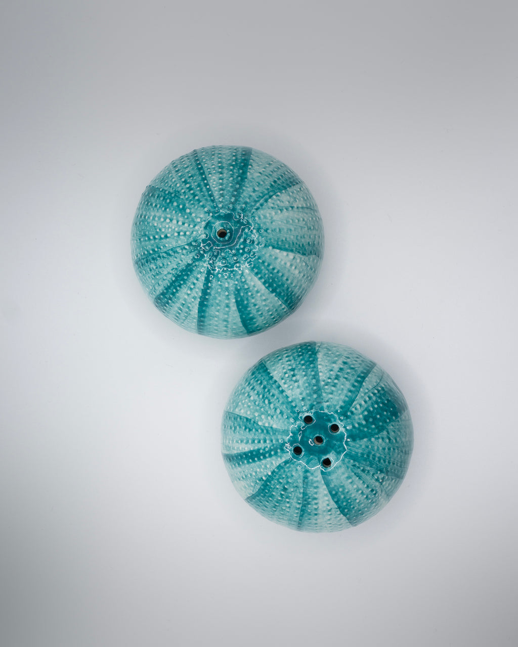 SEA URCHINS "Ricco di Mare" Salt & Pepper Shaker blue