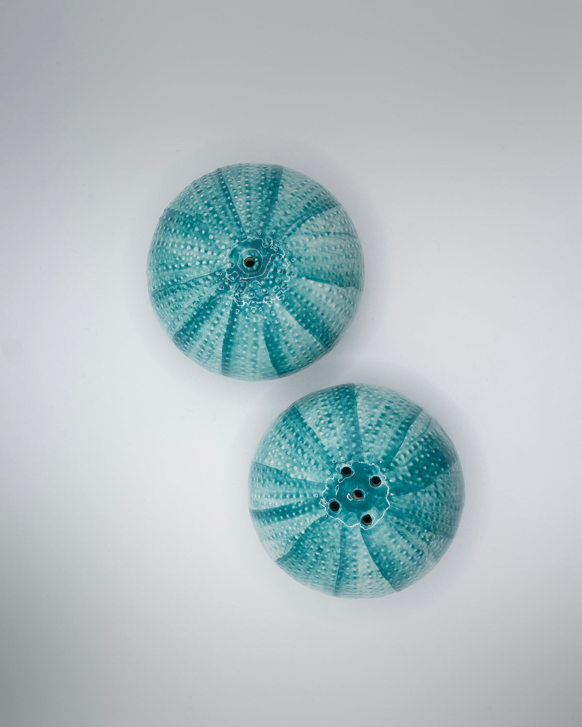 SEA URCHINS "Ricco di Mare" Salt & Pepper Shaker blue