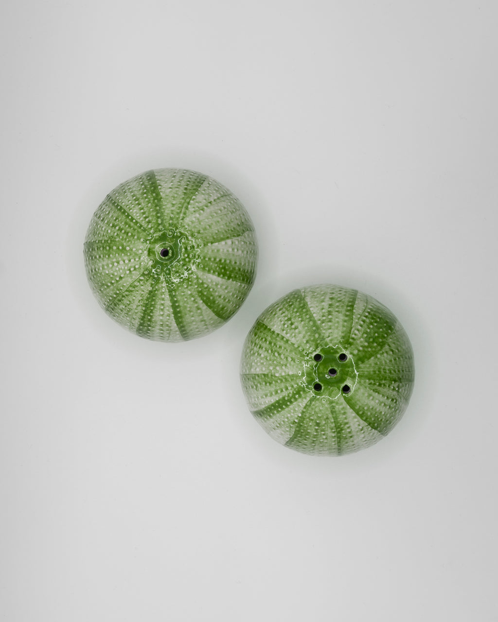 SEA URCHINS "Ricco di Mare" Salt & Pepper Shaker green